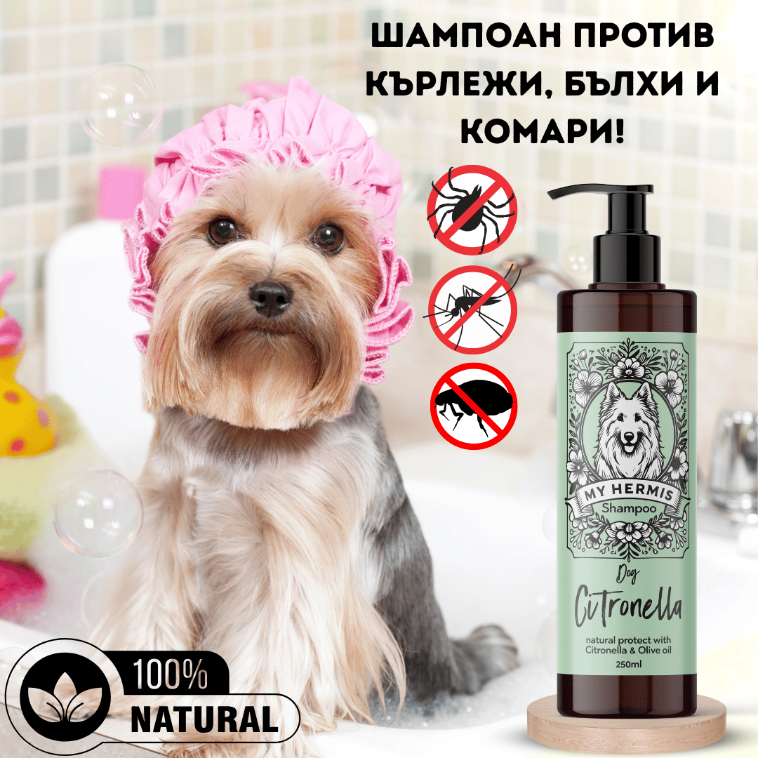 Шампоан против Бълхи и Кърлежи за кучета My Hermis Citronella- 250мл d-r Simeon Madzharov 