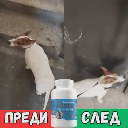 Артро Плюс — анимация на действието